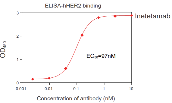 Žʵ Binding assay (FACS, ELISA, SPR)-1