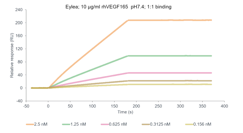 Eylea binding with hVEGF.png