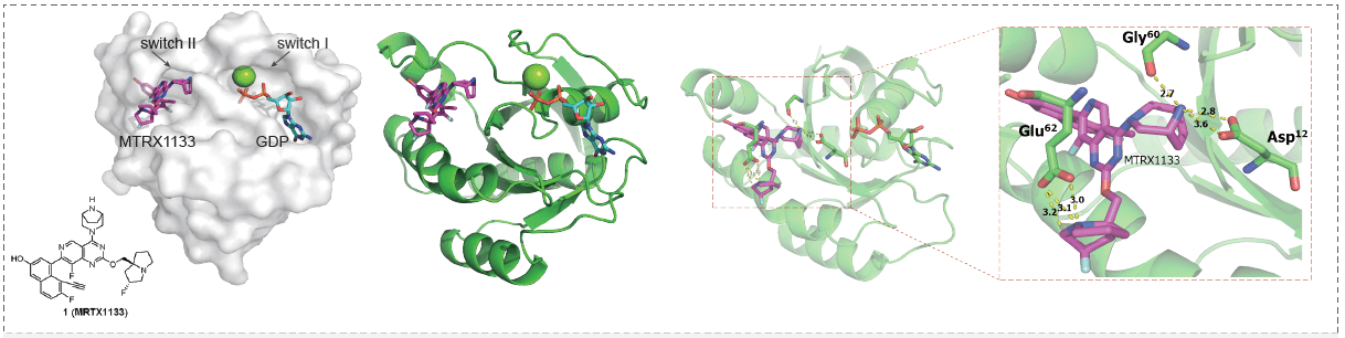 GDPŽKRASG12DMRTX1133Ĺṹ.png